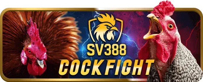 Liên hệ hỗ trợ GDPR của hj88 casino